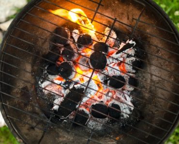 Pellet grill vs propane